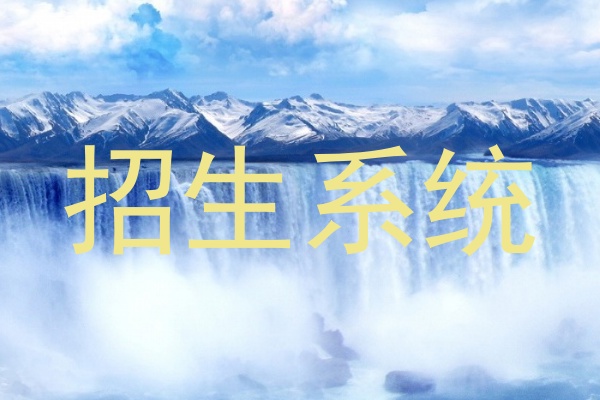 招生系统