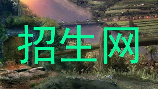 招生网