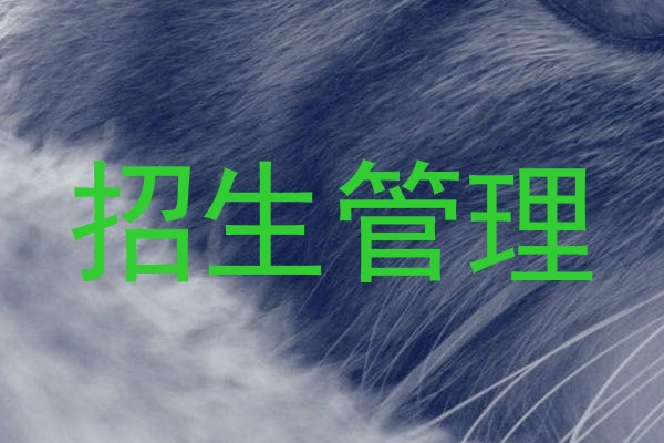 招生管理