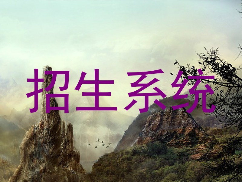 招生系统