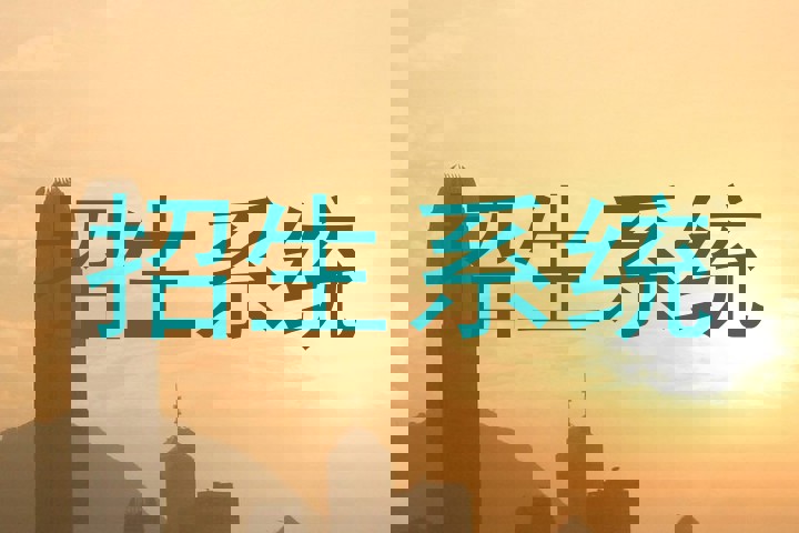 招生系统
