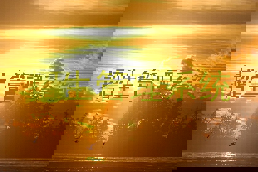 招生管理系统