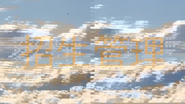 招生管理