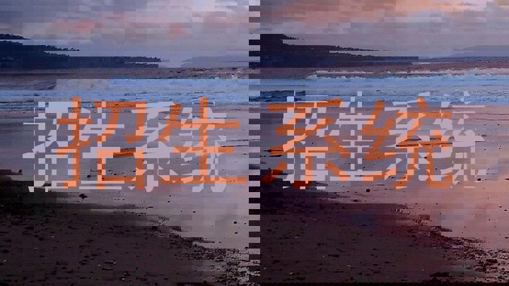 招生系统