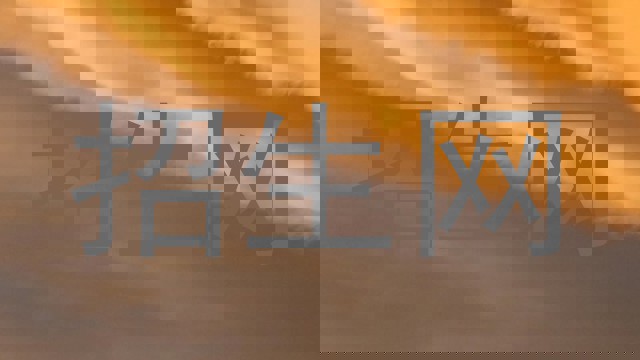招生网