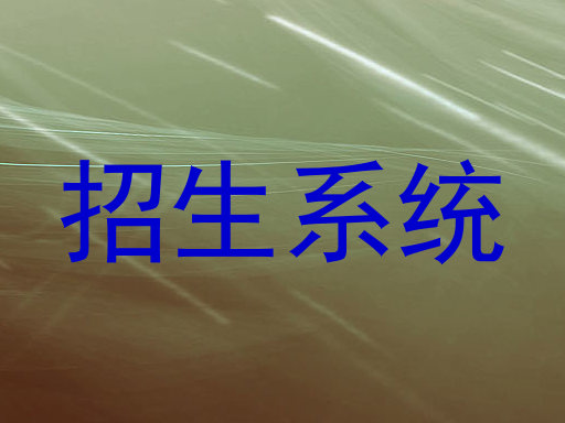 招生系统