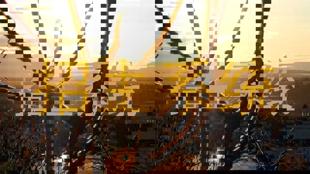 招生系统