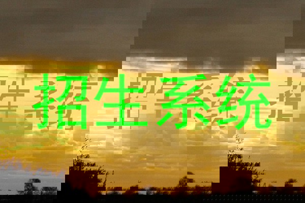招生系统