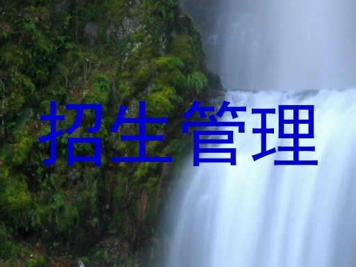 招生管理