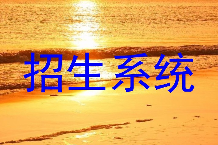 招生系统