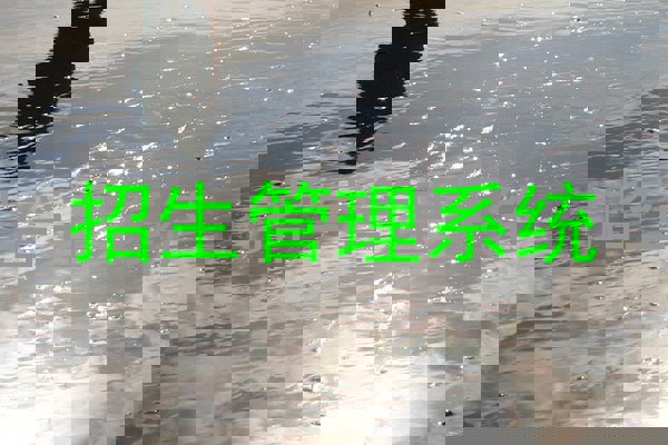 招生管理系统