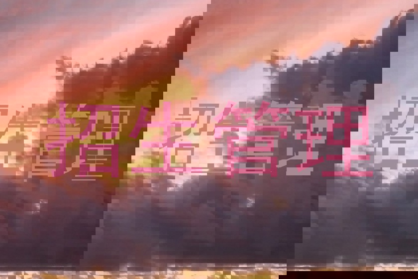 招生管理