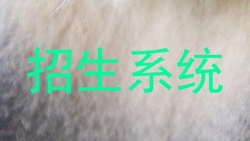 招生系统