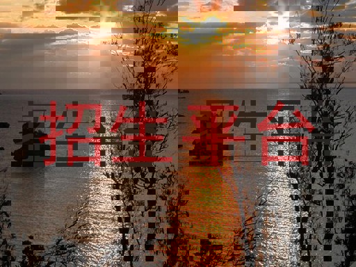 招生平台