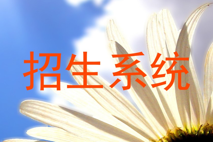 招生系统