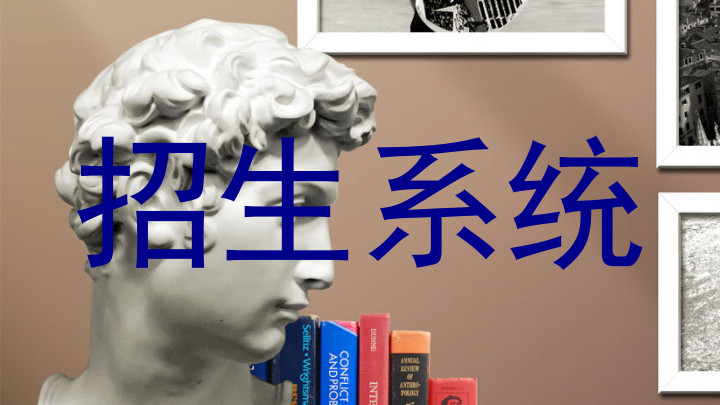 招生系统