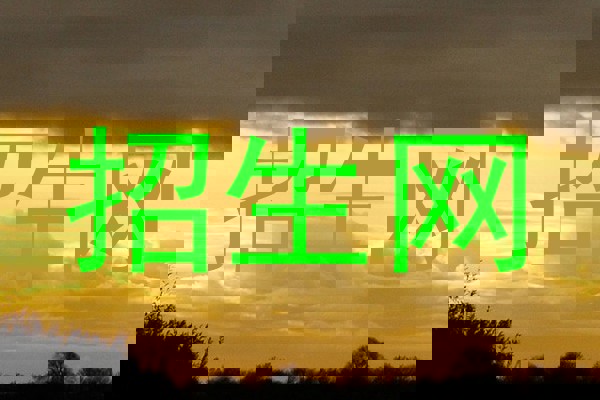 招生网