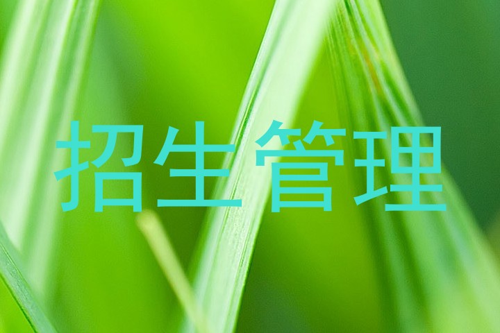 招生管理