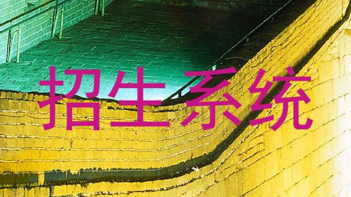 招生系统