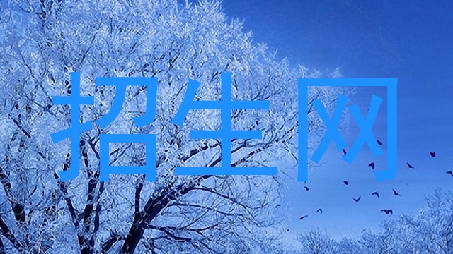 招生网
