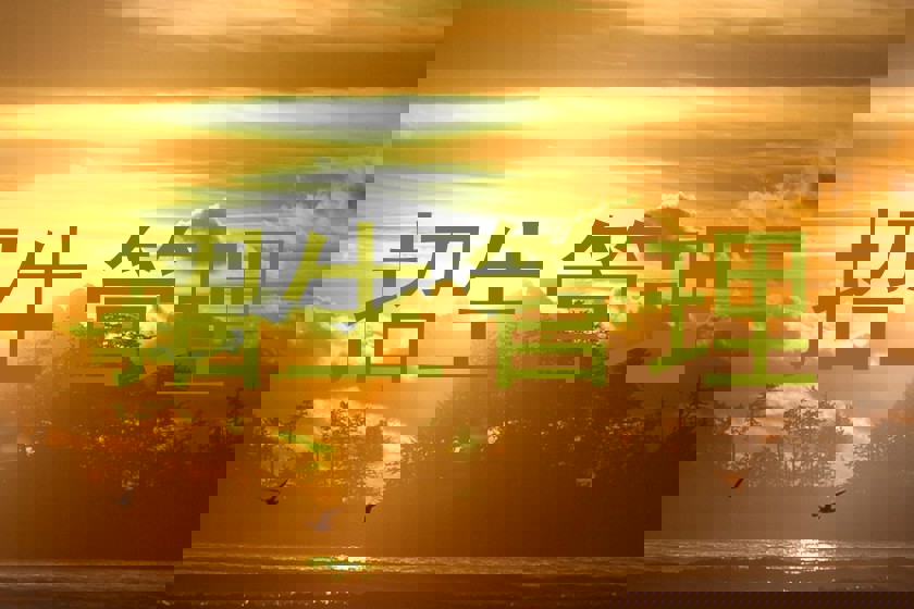 招生管理