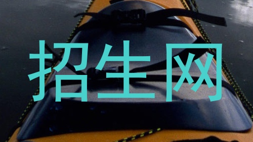 招生网