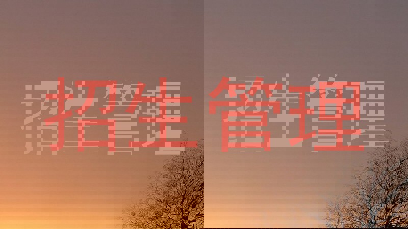 招生管理