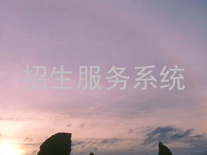 招生服务系统
