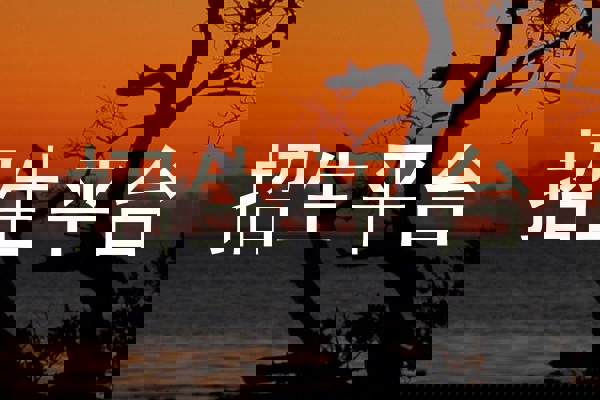 招生平台