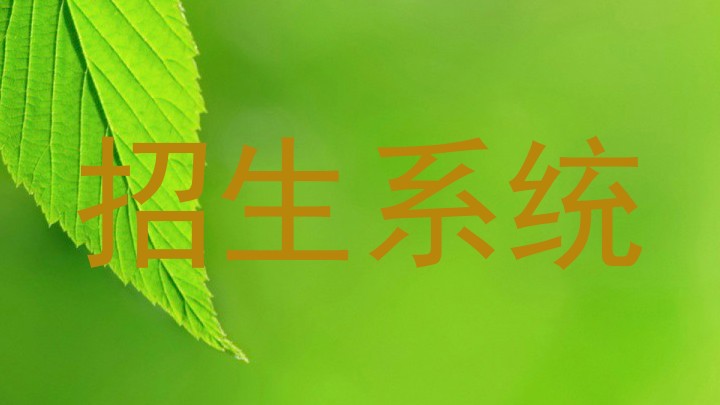 招生系统