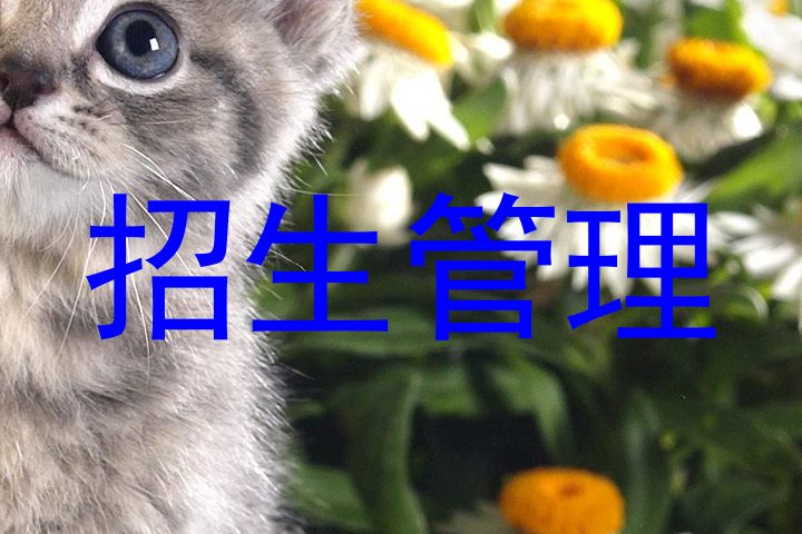 招生管理