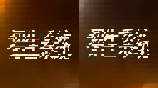 招生系统