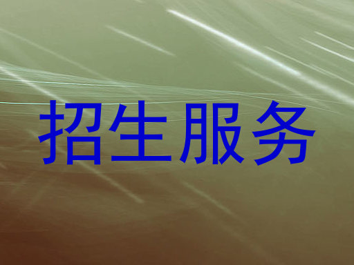 招生服务