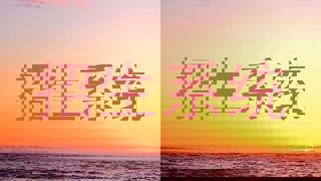 招生系统