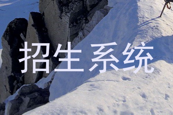 招生系统