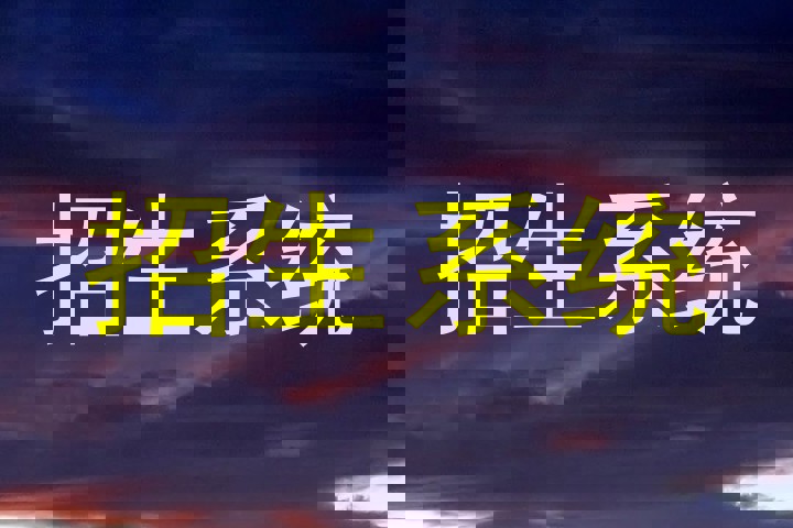 招生系统