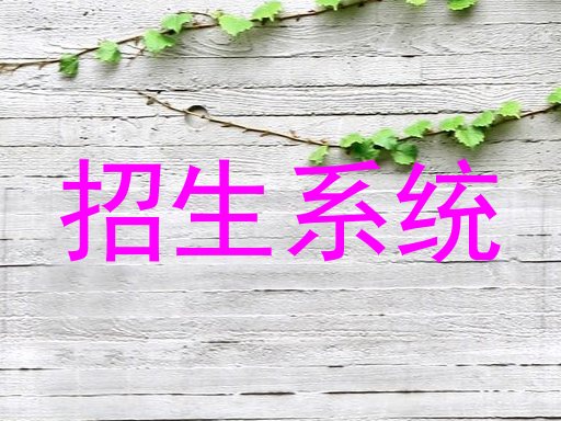招生系统