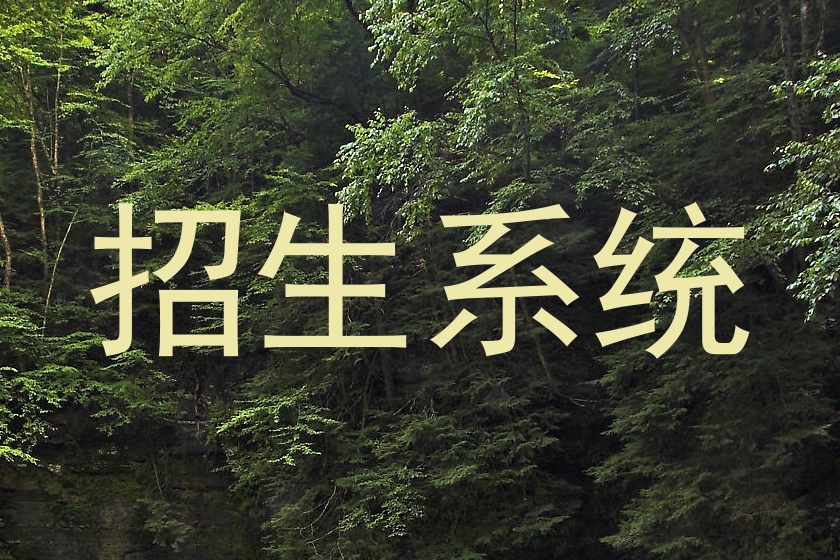 招生系统