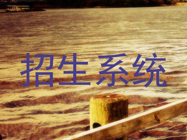 招生系统