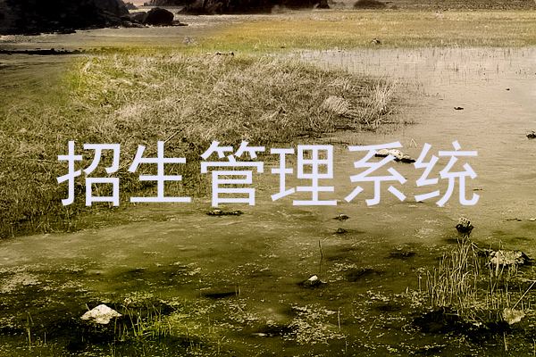 招生管理系统