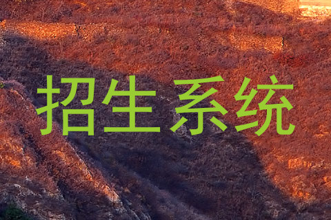 招生系统