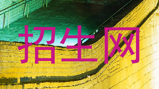 招生网