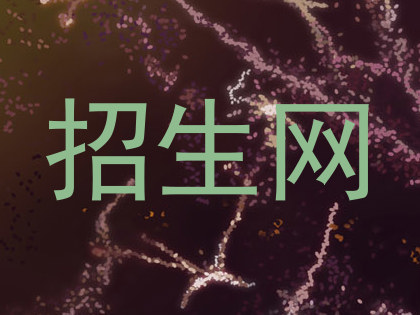 招生网