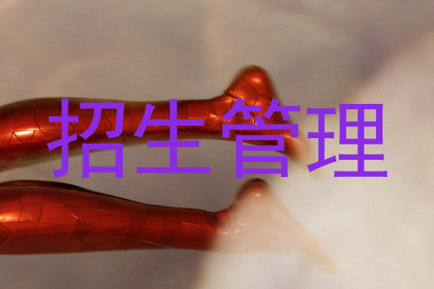 招生管理