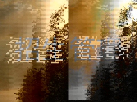 招生管理