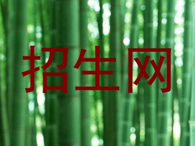 招生网