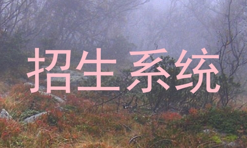 招生系统