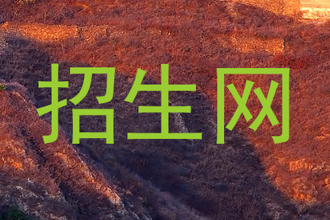 招生网