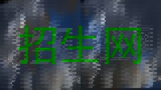 招生网