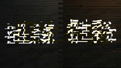 招生系统